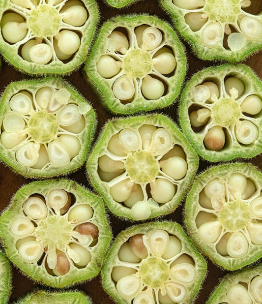 Okra