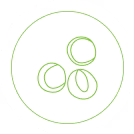 Oblique