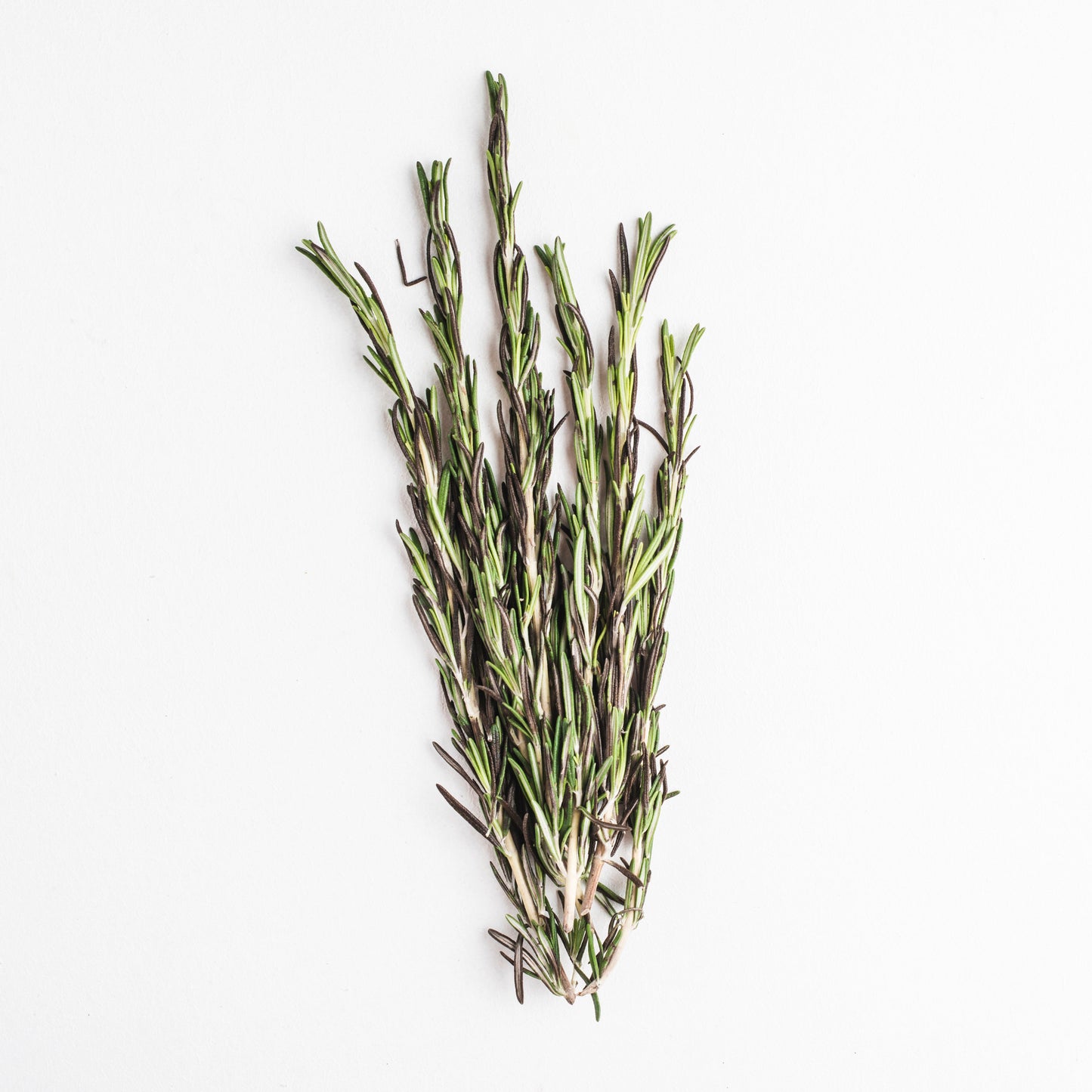 Rosemary