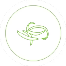 Peeling