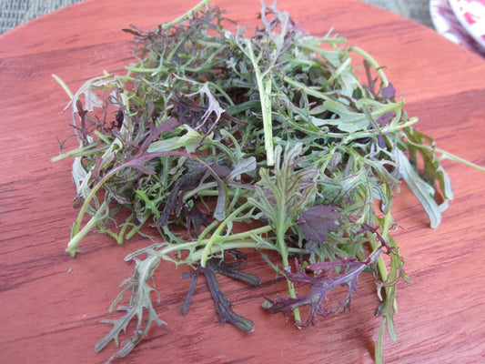 Petite Red Mustard