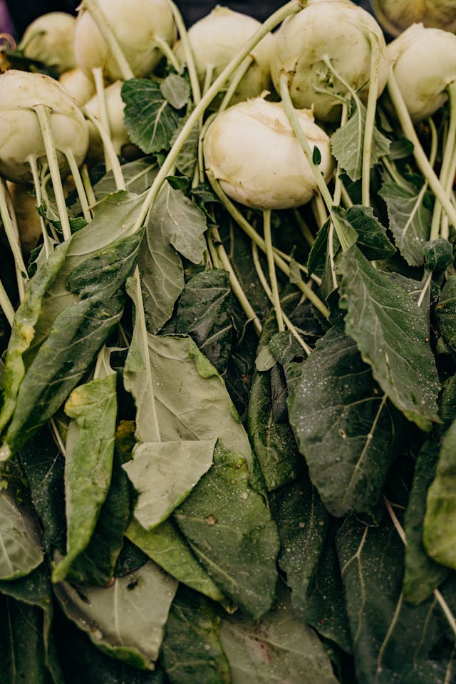 Kohlrabi