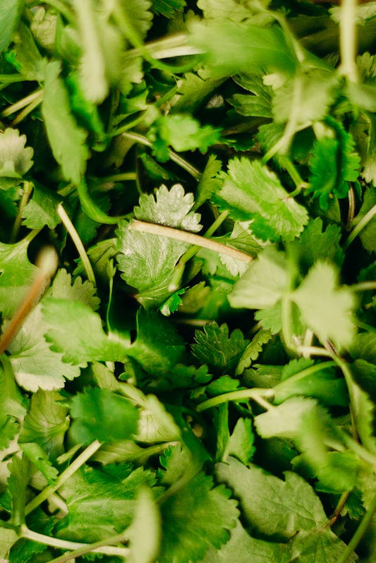 Parsley