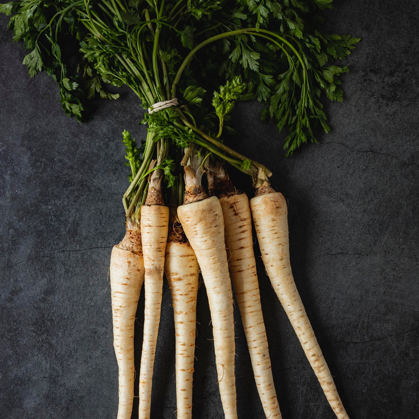 Horseradish