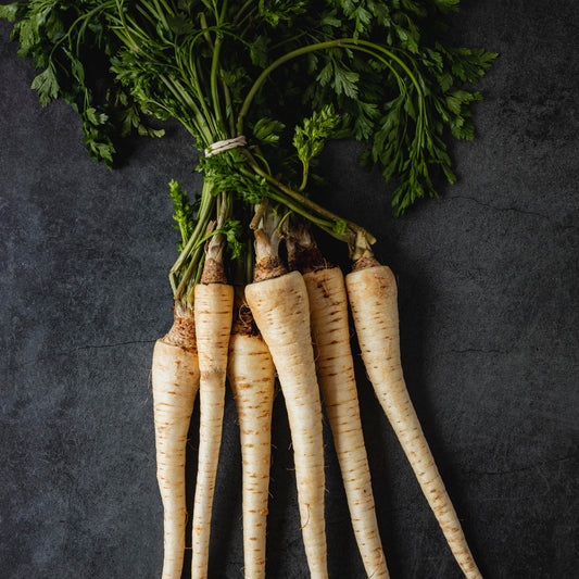 Horseradish
